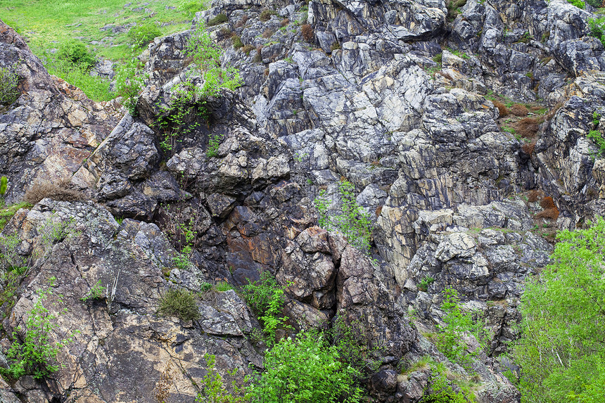 以含苔和树的岩石发誓树木天空叶子苔藓公园旅行土地风景环境森林图片