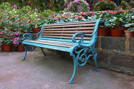 花园里的蓝椅子背景图片