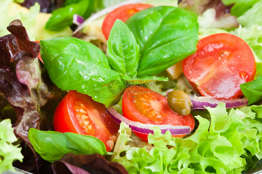 新鲜沙拉饮食盘子水平蔬菜植物绿色选择性洋葱西红柿红色图片
