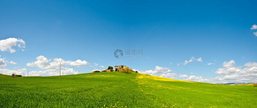 牧师植物土壤种子母猪小麦天空爬坡种植园谷物阳光图片