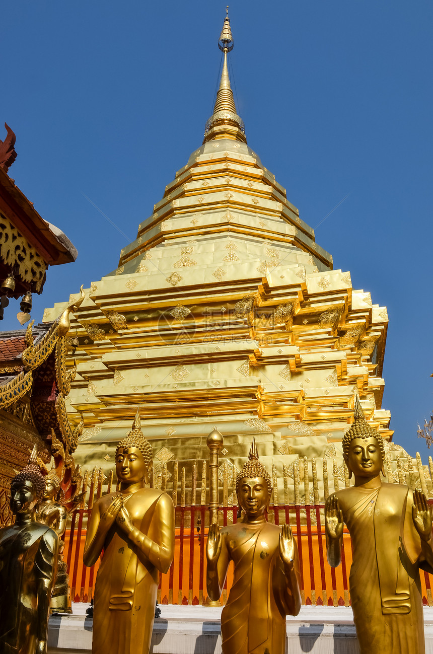 在泰国清迈道伊苏瑟普的黄金寺庙游客情调阳光土井艺术中心建筑和尚晴天宗教图片