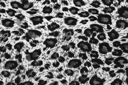 老虎结构黑色材料织物猎豹棕色白色墙纸荒野背景图片