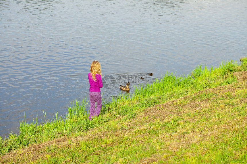 女孩看着鸭子和鸭子的鸭子池塘羽毛沉思反射鸟类太阳女孩们假期乐趣游泳图片