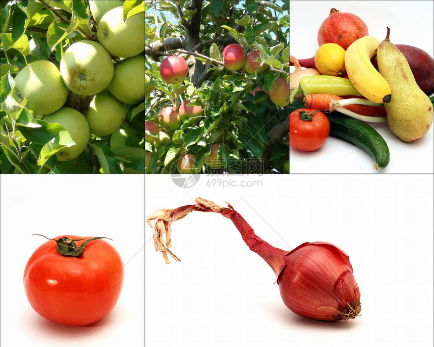 水果和蔬菜拼贴画图片