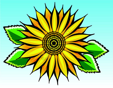 矢量向日葵晴天阳光礼物种子植物群天空艺术插图蓝色花园背景图片