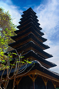 圣殿中许多层次的棕榈树顶背景图片
