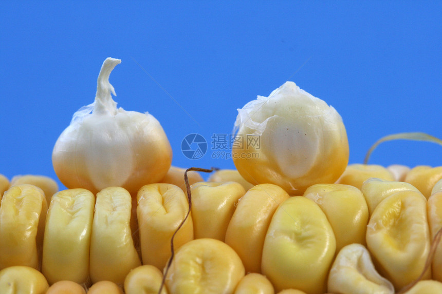 玉米叶子水果蔬菜生产丝绸粮食玉米芯健康金子饮食图片