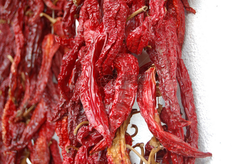 红辣椒寒冷蔬菜红色活力植物胡椒子食物香料辣椒图片