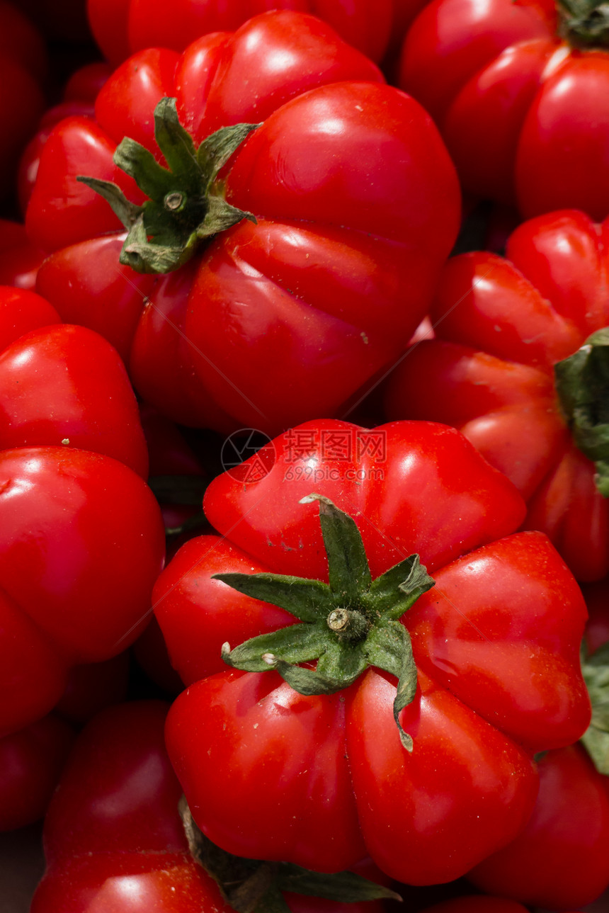红番茄红色西红柿蔬菜绿色植物食物图片
