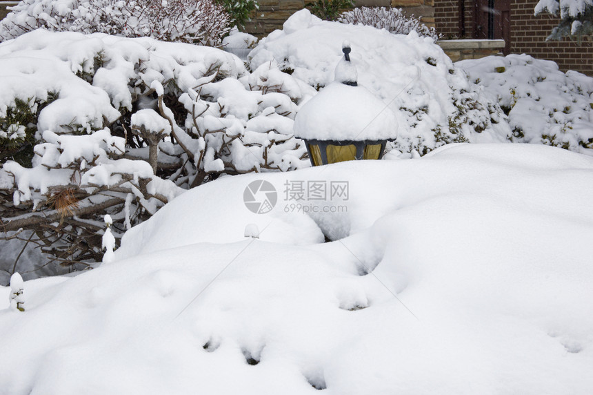 街上下雪黑色房子小枝植物圆形阴影滑雪白色枝条图片