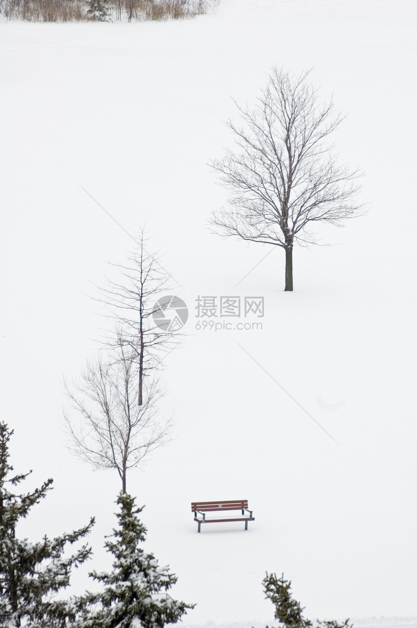 法官棕色黑色公园圆形枝条植物阴影滑雪小枝白色图片