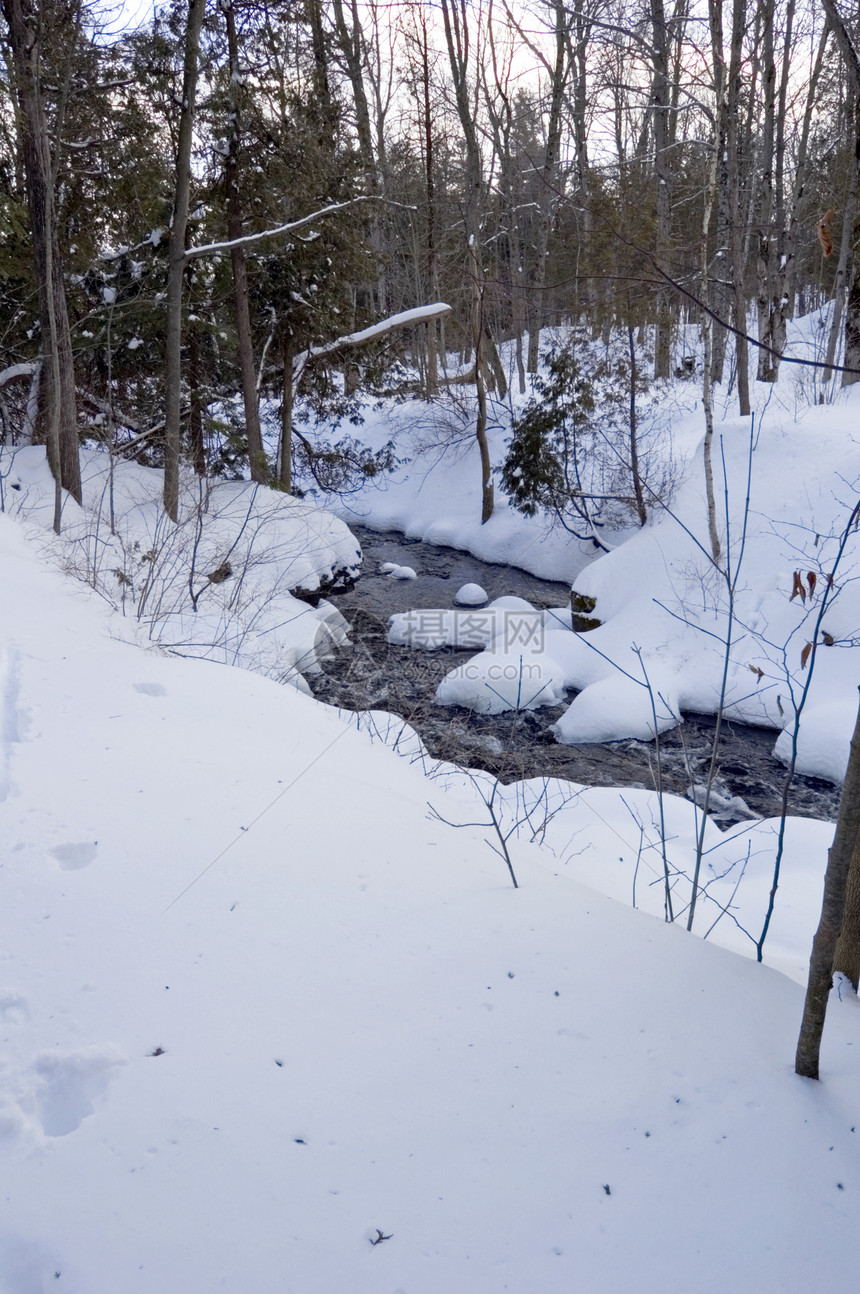 雪河流动溪流岩石公园白色季节性图片