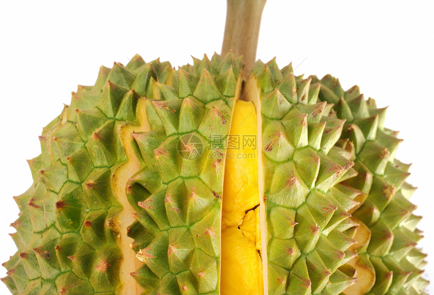 Durian 孤立在白色上季节营养水果异国情调热带食物榴莲气味图片