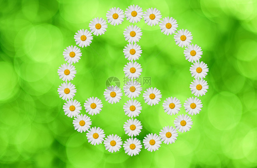 和平与爱雏菊力量绿色图片