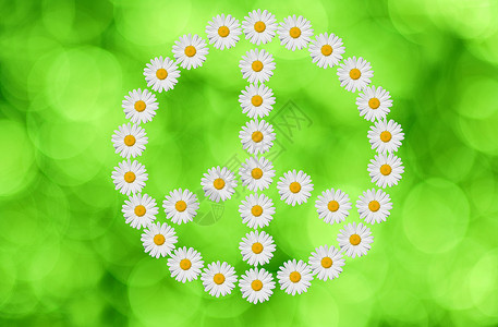 和平与爱雏菊力量绿色背景图片