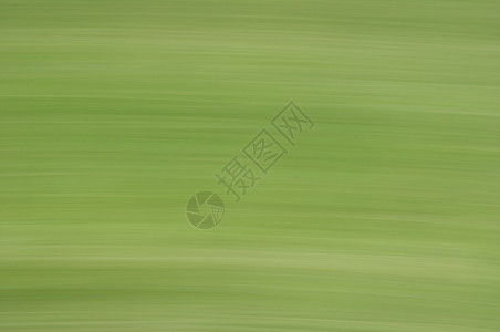 绿色运动模糊的抽象纹理水平速度叶子背景图片