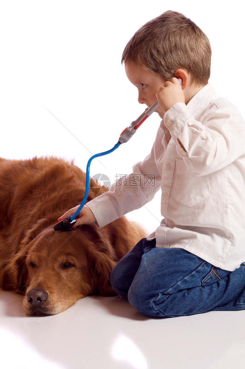 玩兽医卫生想像力宠物乐趣男性角色考试动物男生孩子图片