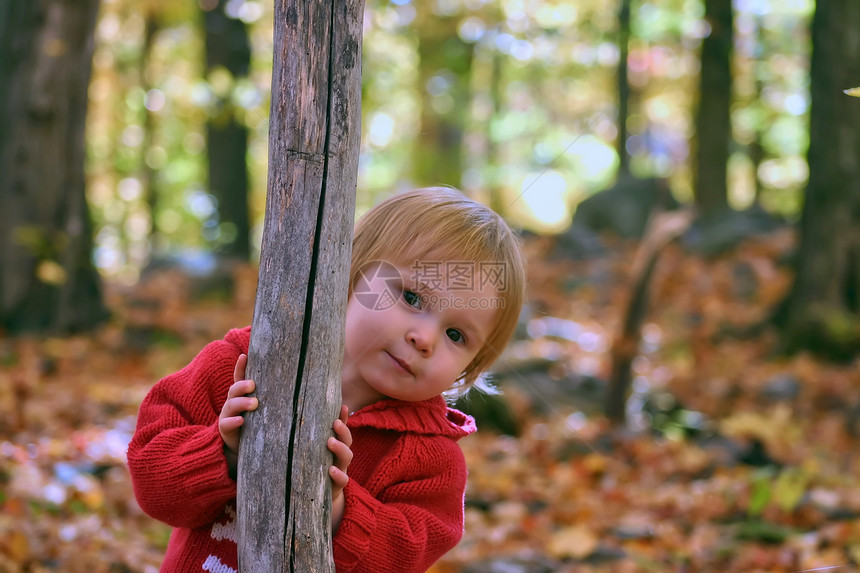 照片denfant棕色孩子叶子隐藏孩子们树木女孩红色落叶图片