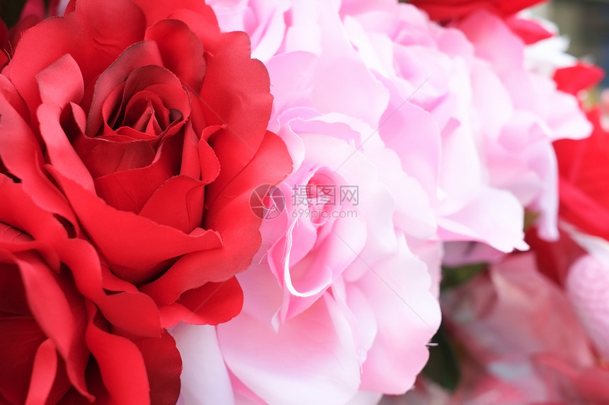 红色玫瑰和粉红玫瑰粉色展示织物手工图片