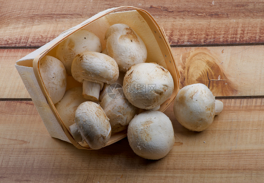 蘑菇生食白色健康饮食全身宏观素食食物蔬菜食用菌背景图片