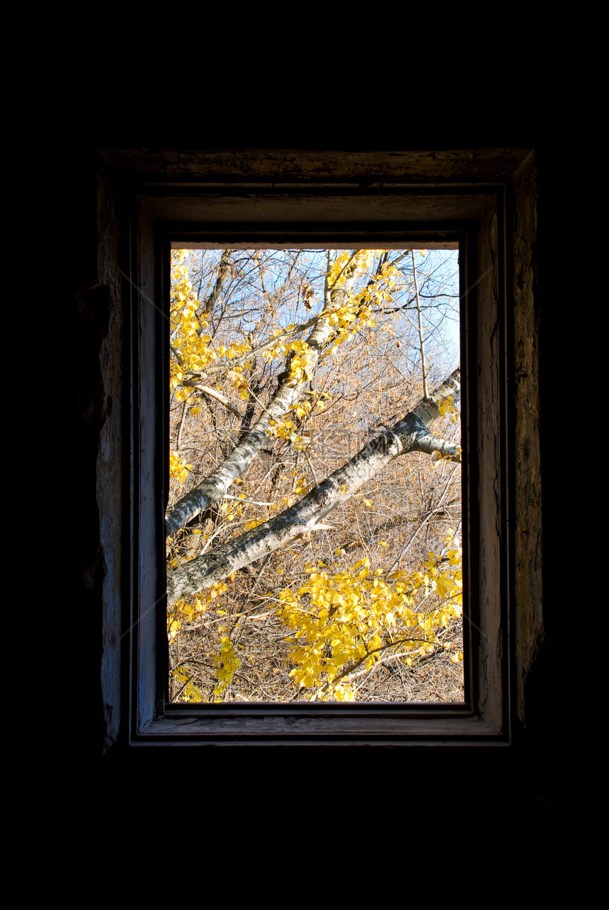 秋季图片窗口木头休息天空耀斑镜框云景太阳蓝色树叶阳光图片