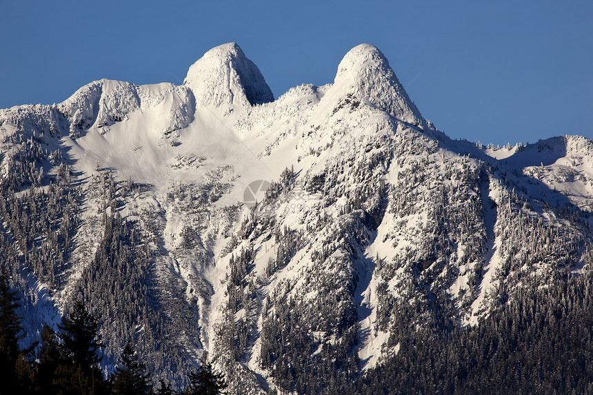 不列颠哥伦比亚省温哥华两狮子山首脑远景公吨雪山丘陵风景地形会议山峰旅行图片