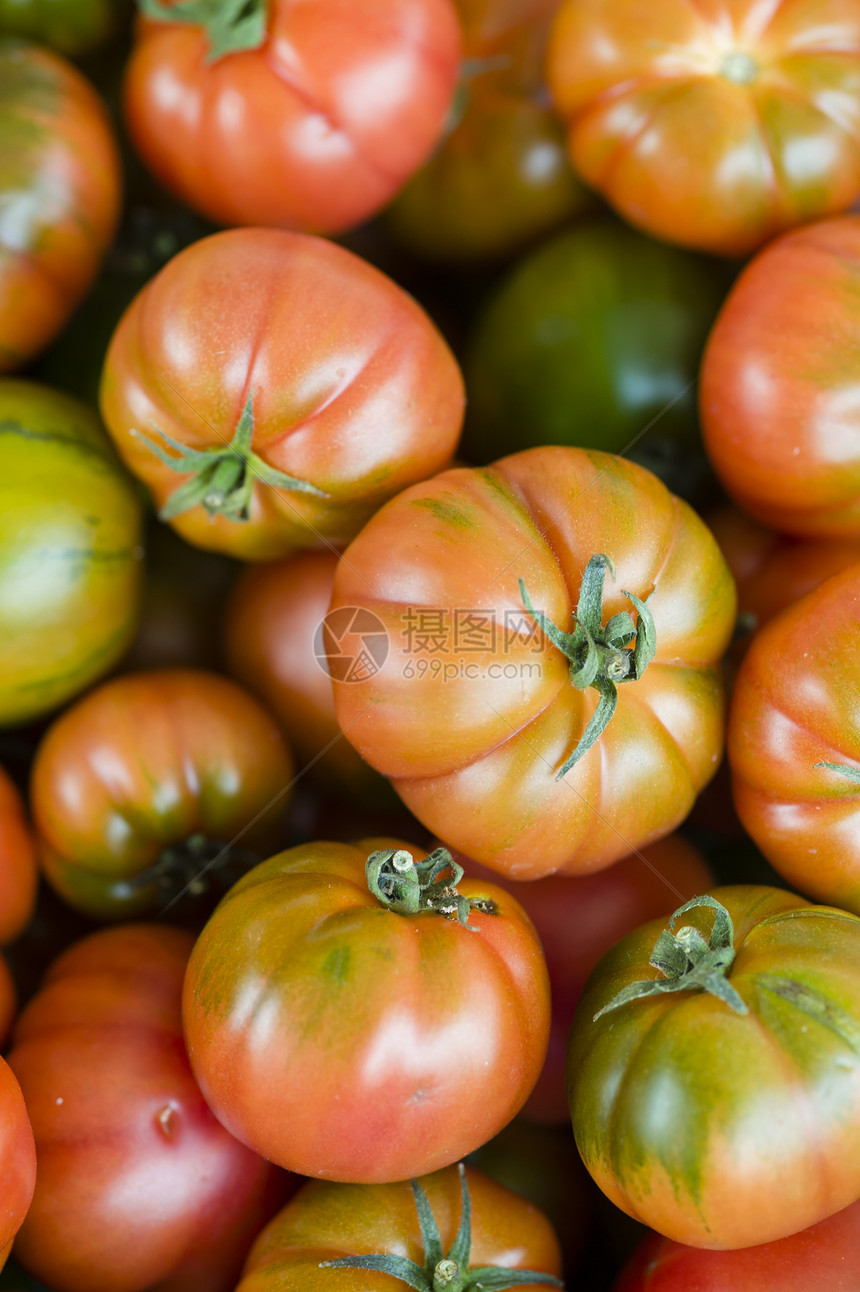 红番茄食物西红柿红色蔬菜绿色植物图片