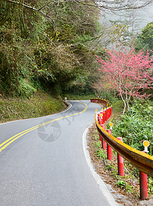 英伦非风男鞋绕风路小路绿色乡村灌木丛多云沥青运输城市旅行车道背景