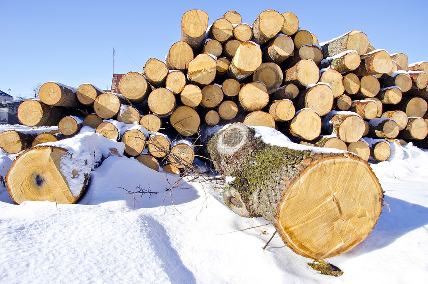 冬季积雪上木柴堆图片