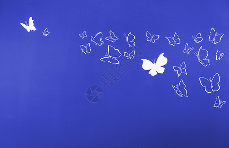 白色圆光影飞翔的蝴蝶背景材料团体墙纸飞行背景图片