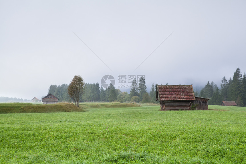 在雾中牧草的农户小屋图片