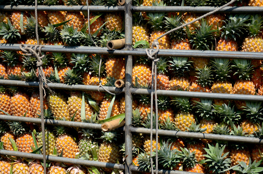 卡车菠萝水果热带果汁绳索甜点养分大车产品农场黄色图片