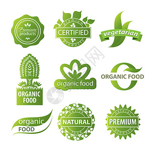 网络产品证书植物生态标志插画