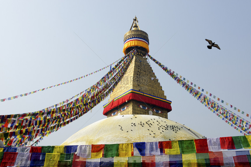 尼泊尔加德满都崇拜鸽子文化寺庙旅行猴庙眼睛蓝色大佛晴天图片