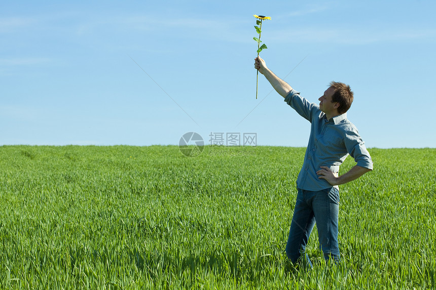 青年男子在绿地上与向日葵站在一起摄影种子财富植物衬衫美化微笑头发叶子天空图片