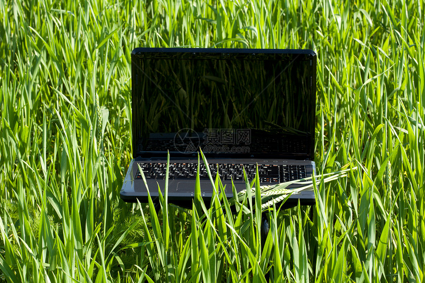 绿色笔记本电脑绿草互联网自由公园商业环境技术通讯按钮叶子教育图片