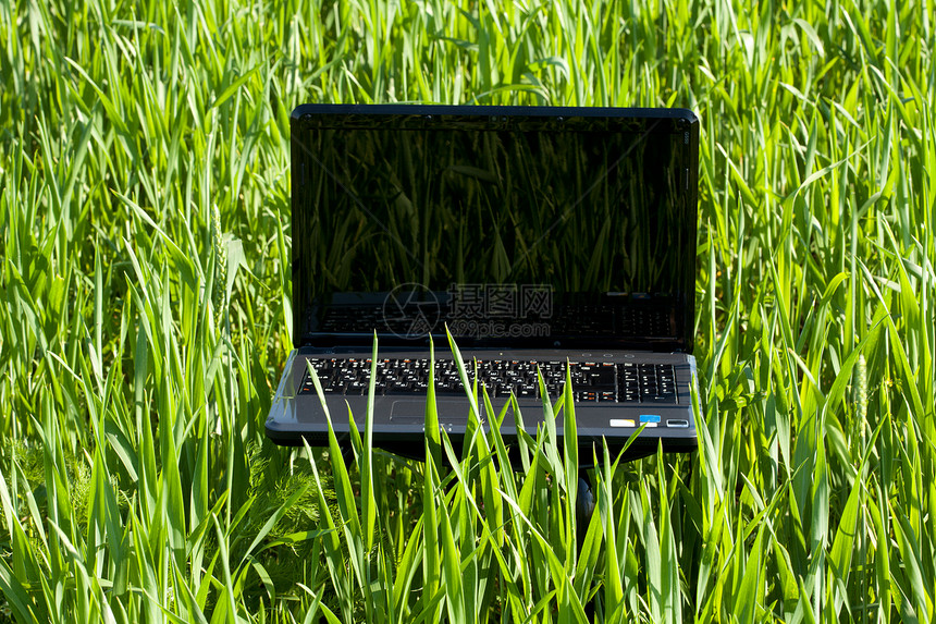 绿色笔记本电脑绿草公园办公室环境窗户技术天空键盘太阳场地数据图片