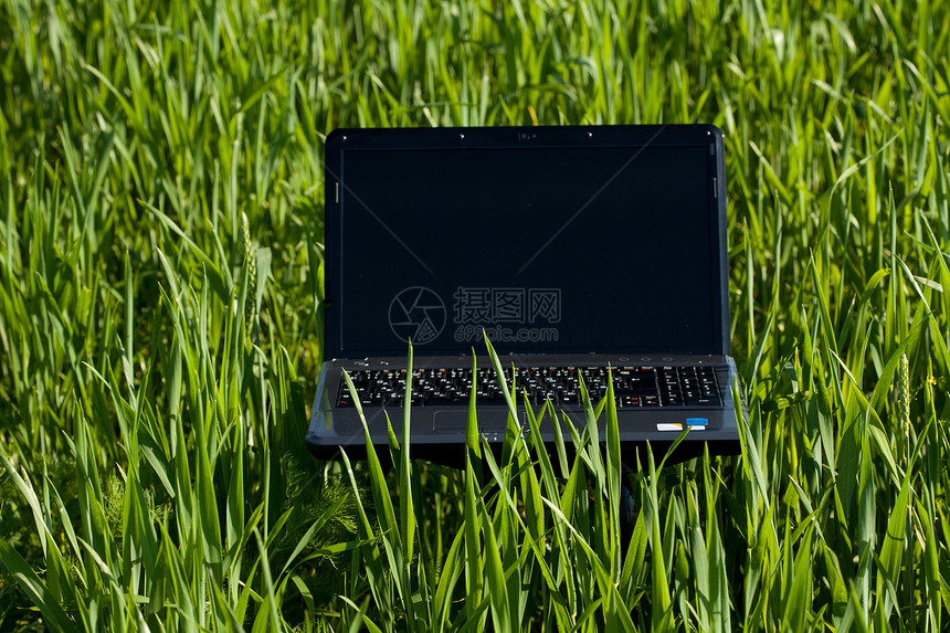 绿色笔记本电脑绿草太阳监视器键盘教育办公室机动性通讯电子产品公园墙纸图片