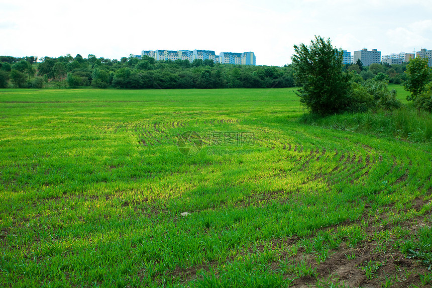 绿草和有云的天空气候土地蓝色云景草地植物场地公园地平线风景图片