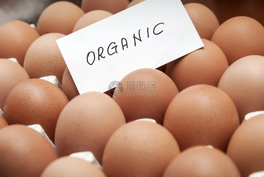 新鲜鸡蛋饮食对象食品早餐棕蛋影棚乳制品纸盒健康饮食动物图片