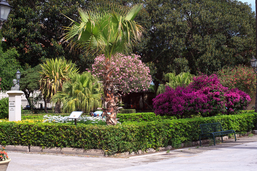 特拉帕尼公园棕榈植物叶子植被别墅雕像图片