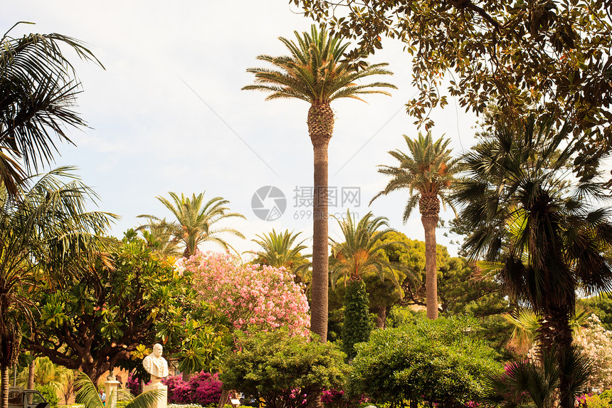 特拉帕尼公园植物棕榈雕像叶子别墅植被图片