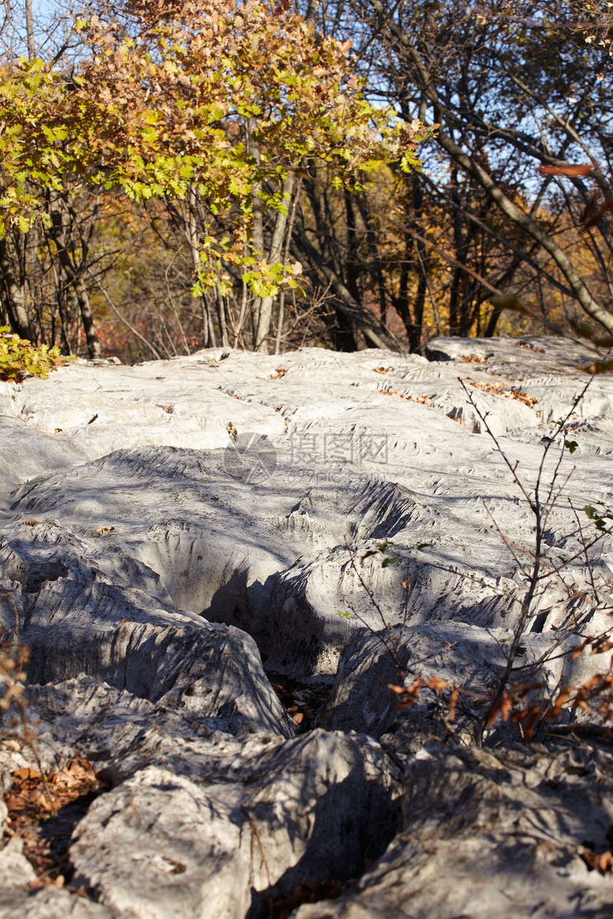 喀斯特岩侵蚀岩石树叶地质学悬崖石灰岩图片