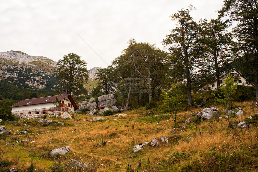 斯洛文尼亚Planina剃刀绿色假期栅栏岩石高原健康植被动物农场房子图片