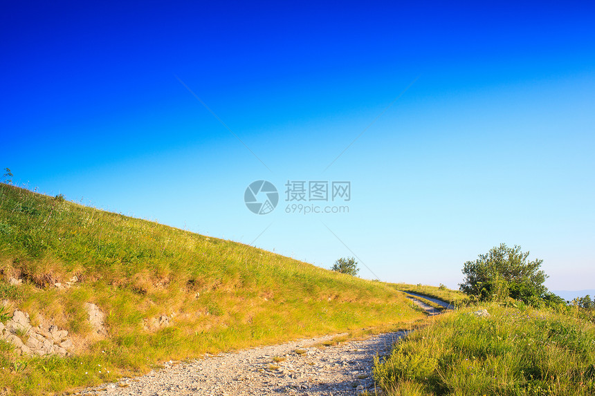 斯洛文尼亚纳诺斯山场地乡村植物绿色土壤生物图片