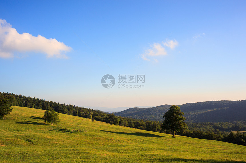 斯洛文尼亚纳诺斯山绿色场地生物土壤植物乡村图片