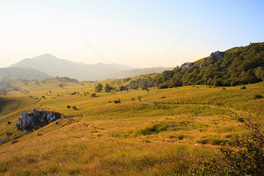 斯洛文尼亚纳诺斯山乡村生物土壤场地植物绿色图片