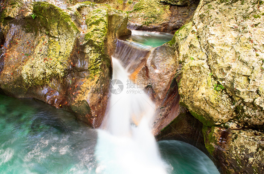瀑布 朱利安阿尔卑斯石头森林丛林旅行叶子环境植物运动流动岩石图片