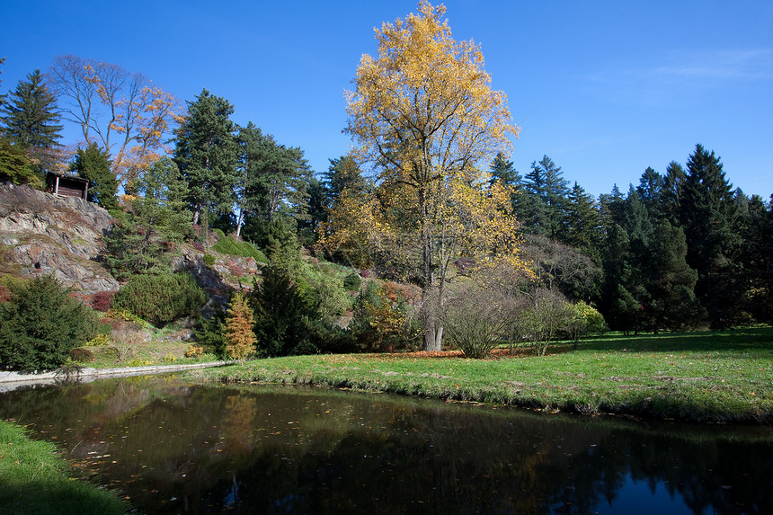 蓝天空 秋树和池塘风景树叶太阳远足美丽叶子空地文化树木公园图片