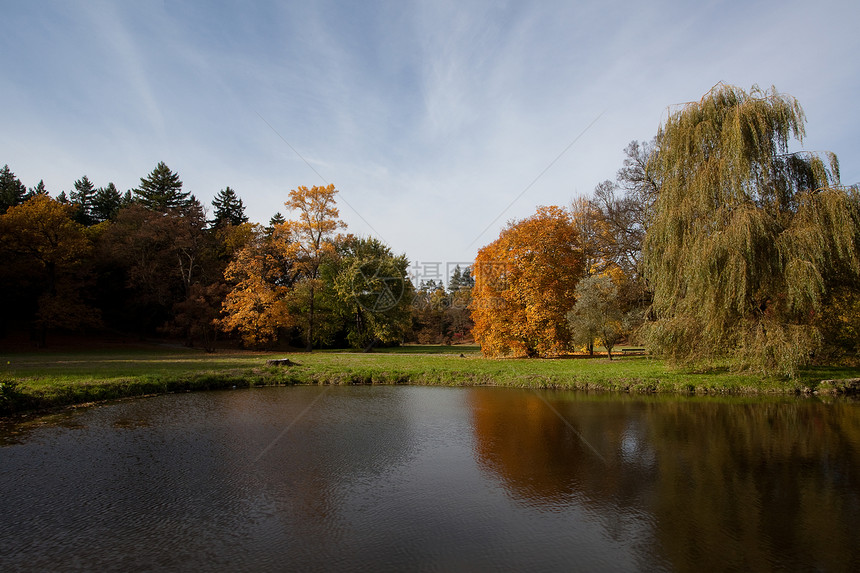 秋林中的池塘和黄树阴影风景衬套美丽季节文化人行道场景公园植物图片